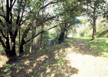 Foto 7 - Rustic Lamporecchio - photo 7