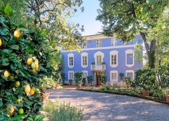 Foto 5 - Villa Lucca - foto 5