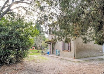 Foto 4 - Rustico Volterra - foto 4