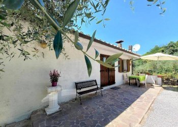 Foto 5 - Rustico Pescia - foto 5