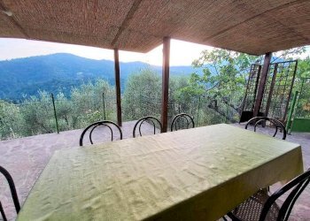 Foto 7 - Rustico Pescia - foto 7