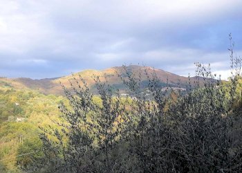 Foto 12 - Rustico Pescia - foto 12