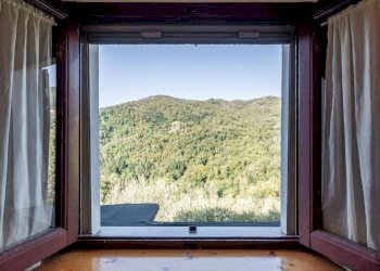 Foto 13 - Rustico Pescia - foto 13