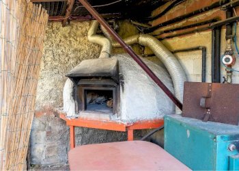 Foto 14 - Rustico Pescia - foto 14