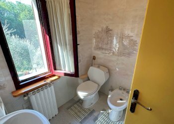 Foto 24 - Rustico Pescia - foto 24