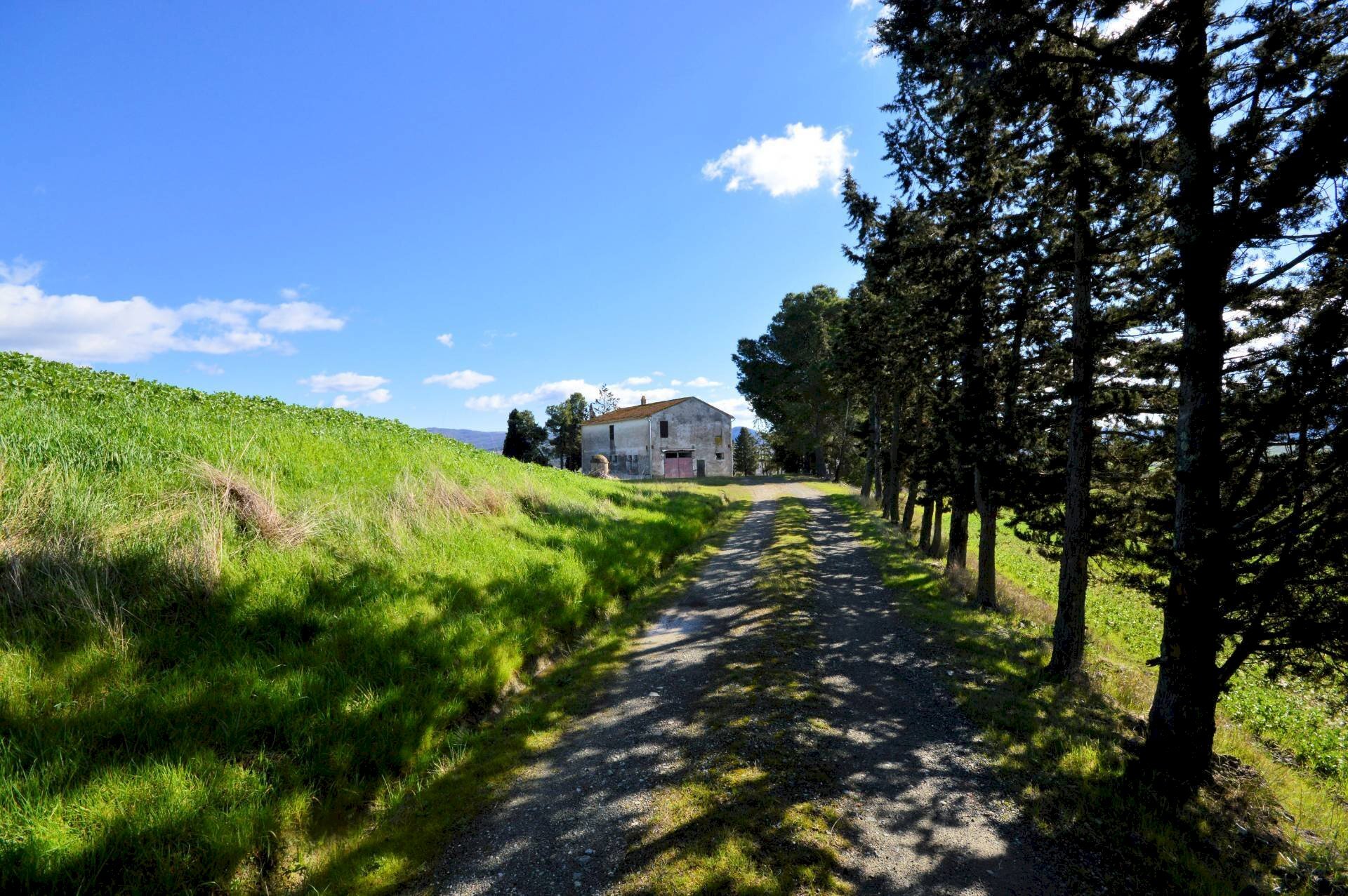 Foto 1 - Rustico Volterra - foto 1