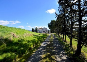 Foto 1 - Rustico Volterra - foto 1