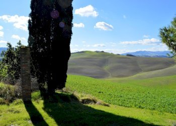 Foto 4 - Rustico Volterra - foto 4