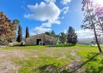 Foto 6 - Rustico Volterra - foto 6