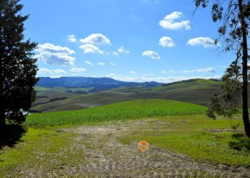 Foto 8 - Rustico Volterra - foto 8