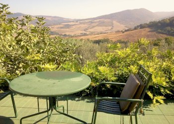 Foto 7 - Rustico Radicondoli - foto 7