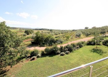 Foto 3 - Rustico Massa Marittima - foto 3