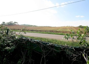 Foto 5 - Rustico Roccastrada - foto 5