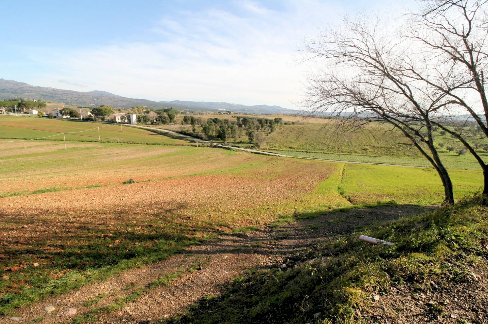 Foto 3 - Rustico via del sassoscritto, Roccastrada - foto 3