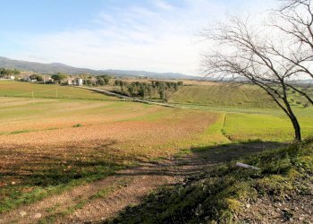 Foto 3 - Rustico via del sassoscritto, Roccastrada - foto 3