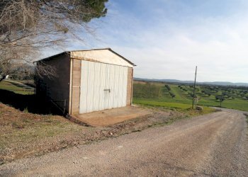 Foto 7 - Rustico via del sassoscritto, Roccastrada - foto 7