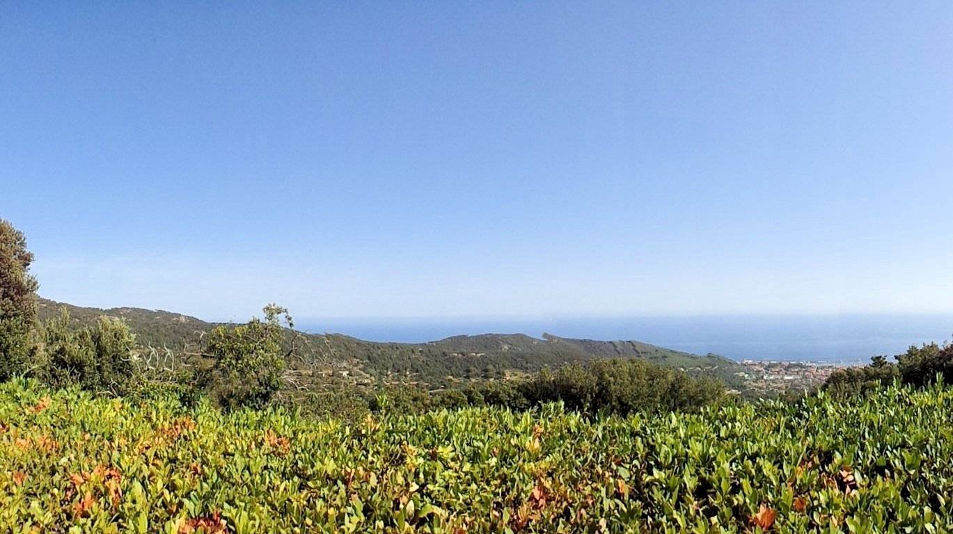 Foto 3 - Casa semi indipendente Poggio, Marciana - foto 3