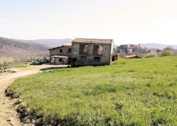 Foto 3 - Rustico Torniella, Roccastrada - foto 3