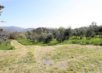 Foto 8 - Rustico Torniella, Roccastrada - foto 8