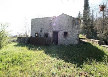Foto 9 - Rustico Torniella, Roccastrada - foto 9