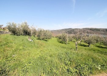 Foto 12 - Rustico Torniella, Roccastrada - foto 12