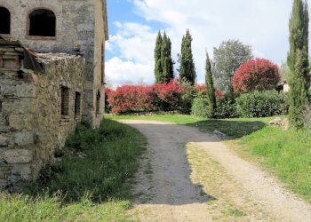 Foto 7 - Rustico Montieri - foto 7