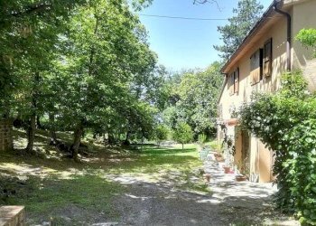 Foto 2 - Rustico Roccastrada - foto 2