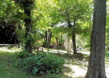 Foto 7 - Rustico Roccastrada - foto 7