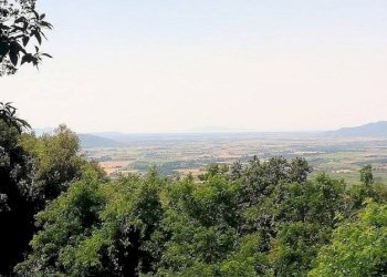 Foto 9 - Rustico Roccastrada - foto 9