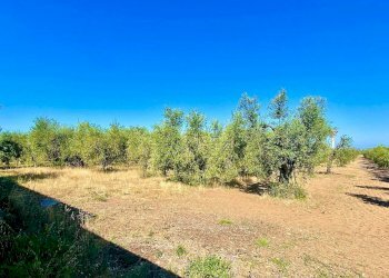 Foto 4 - Rustico Castagneto Carducci - foto 4