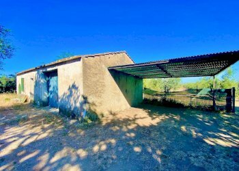 Foto 5 - Rustico Castagneto Carducci - foto 5