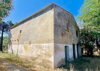 Foto 7 - Rustico Castagneto Carducci - foto 7