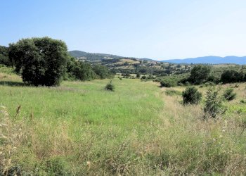 Foto 3 - Rustico Strada Provinciale Montiano, Magliano in Toscana - foto 3