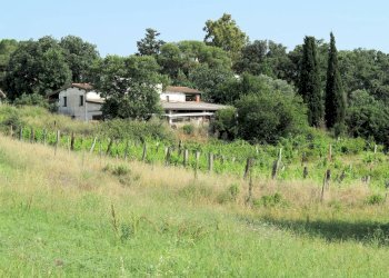 Foto 4 - Rustico Strada Provinciale Montiano, Magliano in Toscana - foto 4