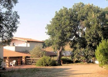 Foto 6 - Rustico Strada Provinciale Montiano, Magliano in Toscana - foto 6