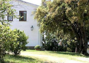 Foto 9 - Rustico Strada Provinciale Montiano, Magliano in Toscana - foto 9