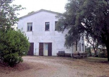 Foto 11 - Rustico Strada Provinciale Montiano, Magliano in Toscana - foto 11