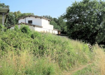 Foto 15 - Rustico Strada Provinciale Montiano, Magliano in Toscana - foto 15