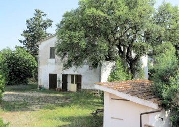 Foto 16 - Rustico Strada Provinciale Montiano, Magliano in Toscana - foto 16