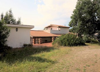 Foto 18 - Rustico Strada Provinciale Montiano, Magliano in Toscana - foto 18