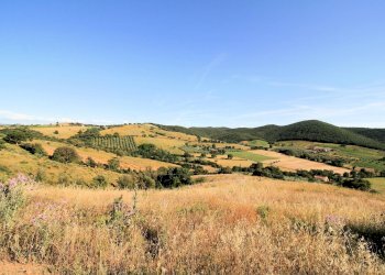 Foto 5 - Rustico Cupi, Magliano in Toscana - foto 5