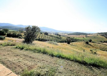 Foto 8 - Rustico Cupi, Magliano in Toscana - foto 8