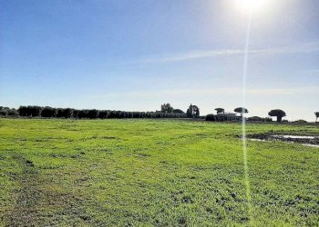 Foto 8 - Rustico Capalbio - foto 8