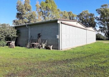 Foto 9 - Rustico Capalbio - foto 9