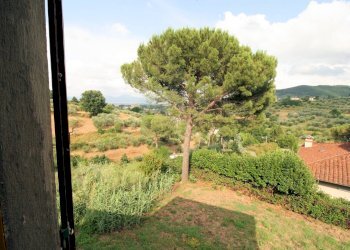 Foto 14 - Rustico Quarrata - foto 14