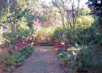 Foto 7 - Stabile - Palazzo Piazza della Maddalena, Pescia - foto 7