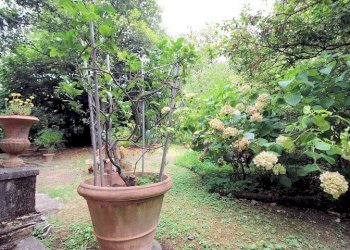 Foto 8 - Stabile - Palazzo Piazza della Maddalena, Pescia - foto 8