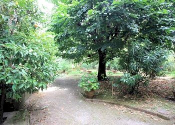 Foto 9 - Stabile - Palazzo Piazza della Maddalena, Pescia - foto 9