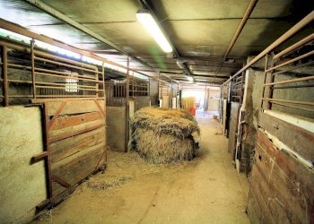 Foto 4 - Rustico Barberino di Mugello - foto 4