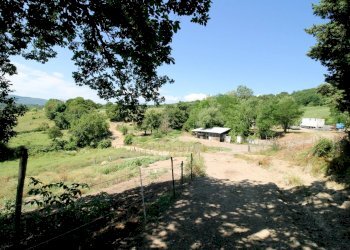 Foto 7 - Rustico Barberino di Mugello - foto 7